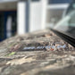 CFMOTO UFORCE U10 PRO T1b, VORFÜHRFAHRZEUG